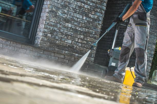 Best Spring Cleaning  in Fairlea, WV