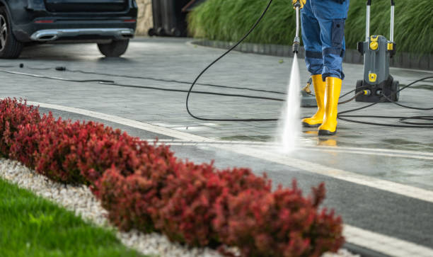 Animal Enclosure Cleaning in Fairlea, WV